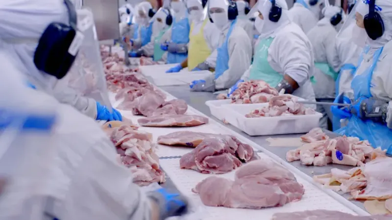 Imagem ilustrativa da matéria China e União Europeia ameaçam exportações de carne bovina do Brasil